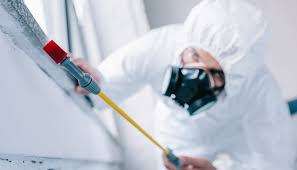 Real Estate Pest Inspections in Delphi, IN